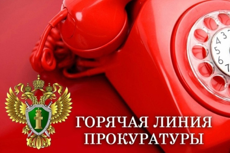 В Омском районе для участников СВО и членов их семей работает горячая линия.